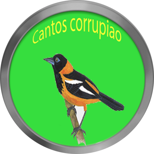 Cantos de corrupião LITE