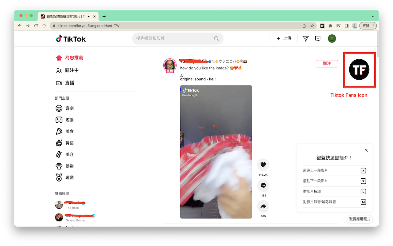 Tiktok Fans - Get Tiktok follower free Preview image 0