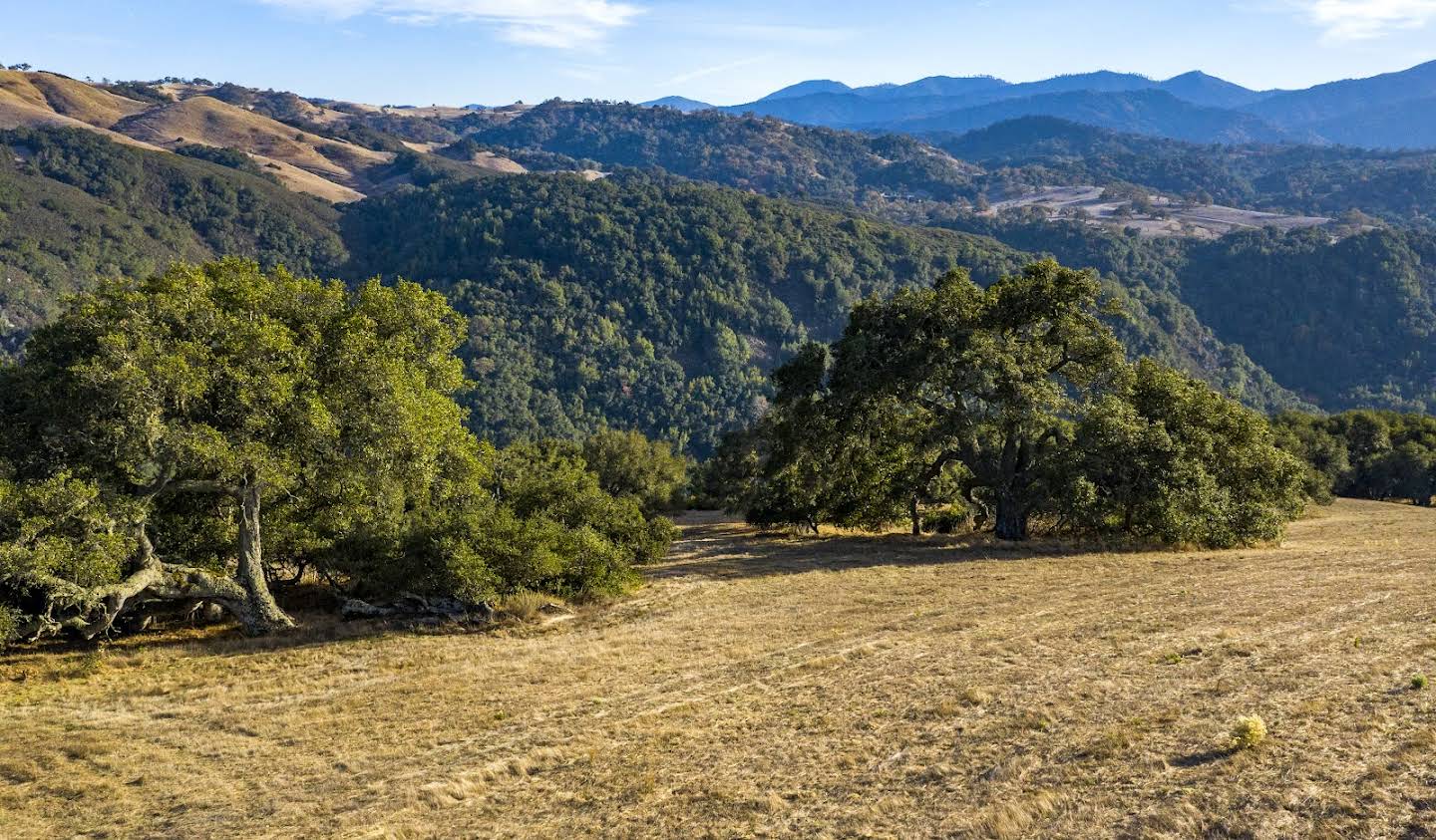 Terrain Carmel-by-the-Sea