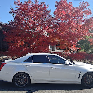 CTS-V