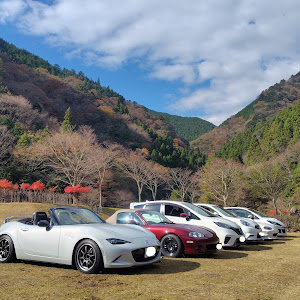 ロードスター NB6C