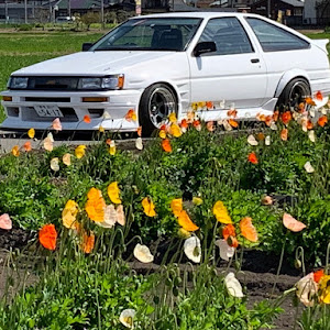 カローラレビン AE85