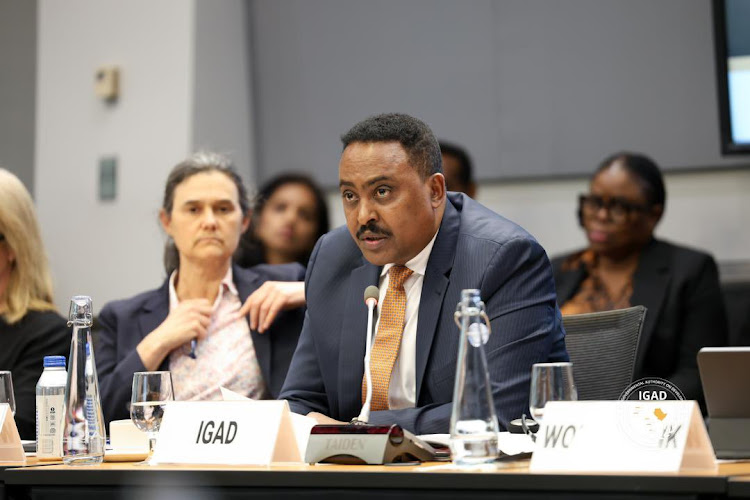 Intergovernmental Authority on Development (IGAD) Executive Secretary Dr. Workneh Gebeyehu at a past meeting.