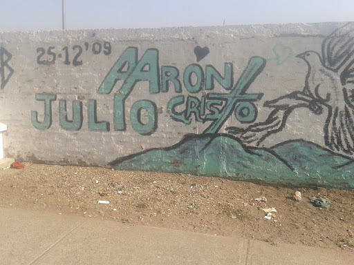 Julio Aron