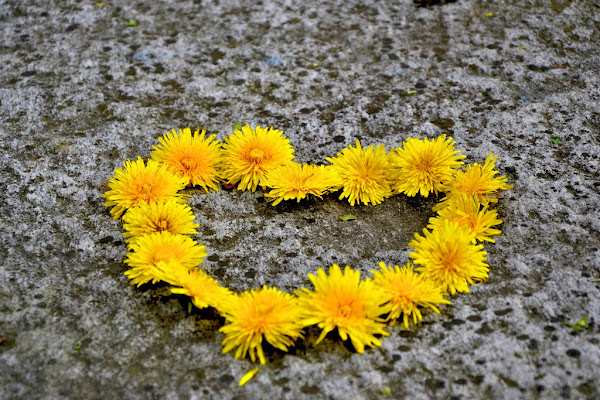 Cuore Fiorito  di martacolo