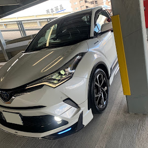 C-HR ZYX10