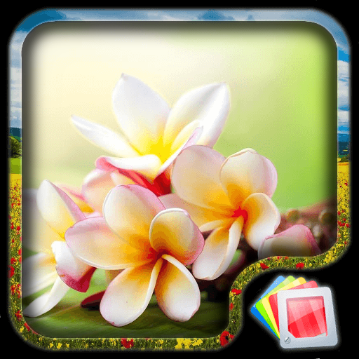 Flowers Live Wallpaper Apl Di Google Play