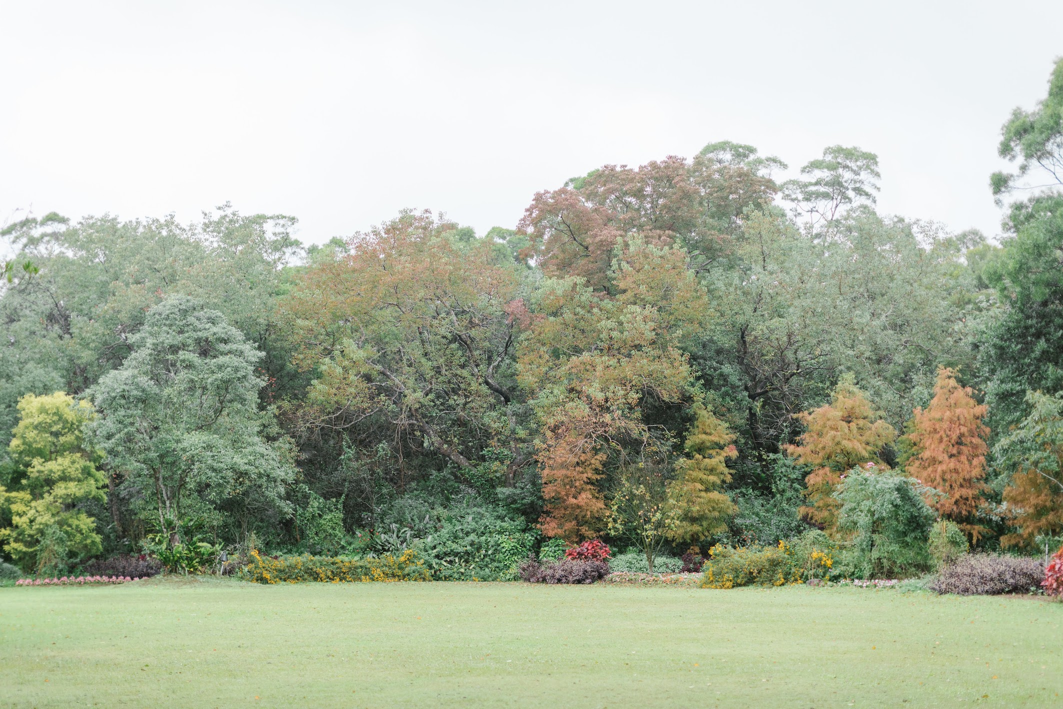 美式婚禮紀錄,納美花園 婚攝,納美花園 婚禮紀錄,戶外證婚,美式婚攝,台北婚攝,,台中婚攝,Amazing Grace 攝影美學,Wedding Photography