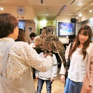 OWL Coffee 貓頭鷹咖啡