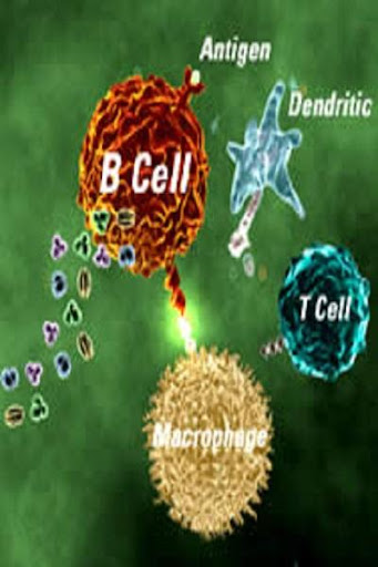 免費下載娛樂APP|Immunology app開箱文|APP開箱王