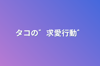 タコの゛求愛行動゛