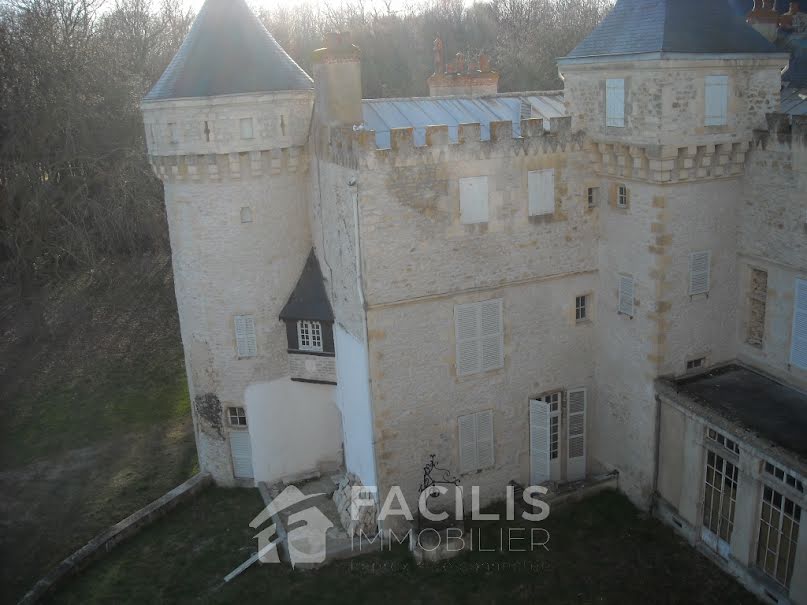 Vente château 30 pièces 800 m² à Neuvy-le-Barrois (18600), 1 253 000 €