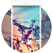 Winter Theme & A37 Wallpaper for Oppo A37  Icon