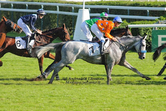 Prix du Président de la République 2015 (St., Hand., Auteuil) 19-04 : Saint Pistol V1OYg7on4qdu2ZfDvjwrmQq2efDexvfGxgGAvx8QULha=w328-h219-p-no