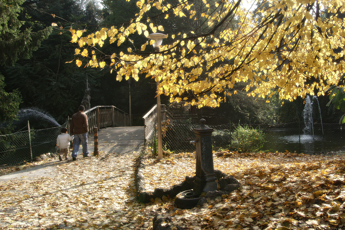 passeggiata nel parco di lorenzo_davighi