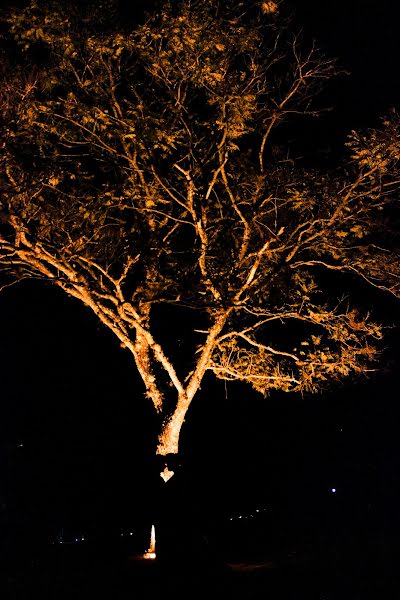 Photographe de mariage Tiagocosta Assis (tiagocosta). Photo du 28 décembre 2018