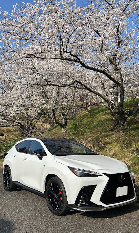 NXの洗車・NX・お花見・写真に関するカスタム事例の投稿画像1枚目