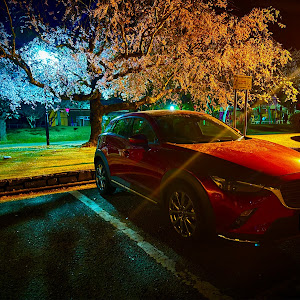 CX-3 DK8FW