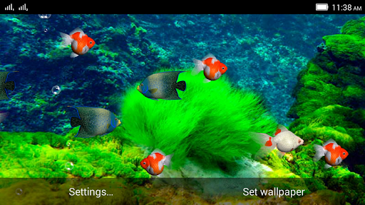 aquarium live wallpaper