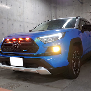 RAV4 MXAA54