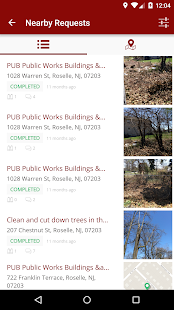 Roselle Connect - náhled