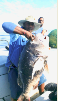 Emile Govender caught what is believed to be the biggest black musselcracker in KwaZulu-Natal‚ at a whopping 42kg on 12 June 2018.