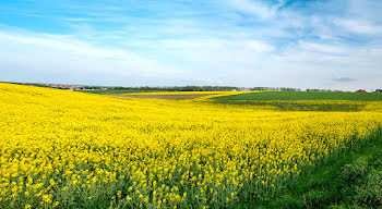 terrain à Saint-Julien-l'Ars (86)