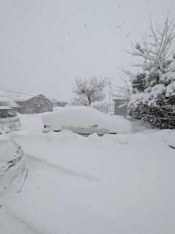 シビックフェリオの大雪警報発令中・お約束に関するカスタム事例の投稿画像2枚目