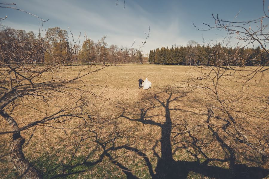 Wedding photographer Polina Pavlova (polina-pavlova). Photo of 28 April 2014