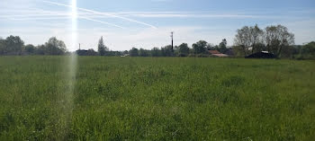 terrain à Saint-Magne-de-Castillon (33)