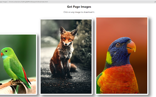 Get Page Images