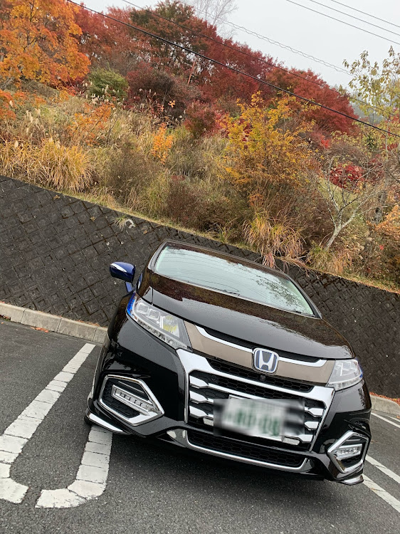 オデッセイの三峯神社・紅葉に関するカスタム事例の投稿画像2枚目