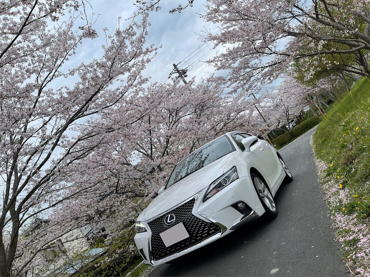 CTのC-HR・桜・堤防・納車記念日・車活に関するカスタム事例の投稿画像2枚目