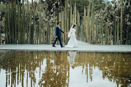 Fotógrafo de casamento Maximo Cuauhtemoc Sanchez  Hernandez (procamestudio). Foto de 19 de novembro 2023