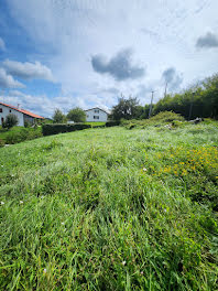 terrain à Saint-Pierre-d'Irube (64)