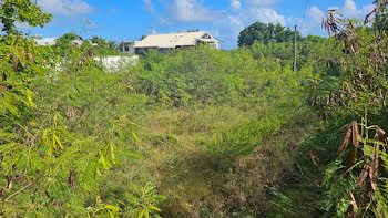 terrain à Sainte Anne (971)