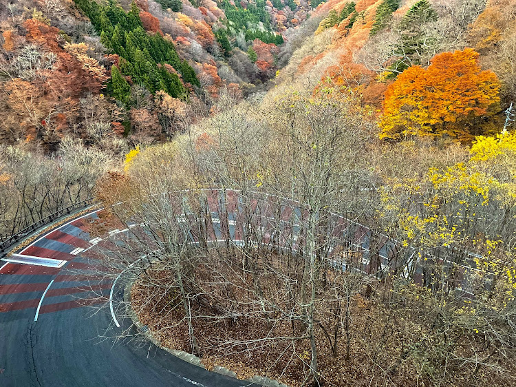 の投稿画像27枚目