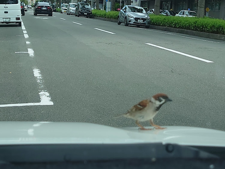 の投稿画像1枚目