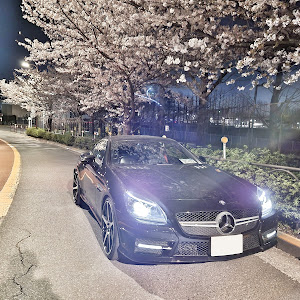 SLK R172