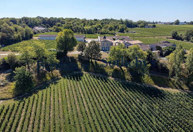 Vignoble 5