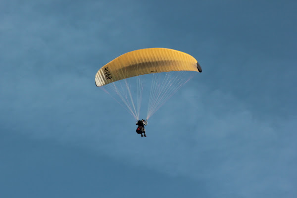 Sentirsi liberi... di fedefoto