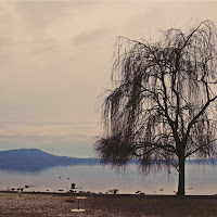 tramonto invernale sullago di 