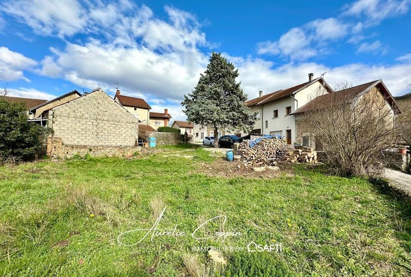  Vente Terrain à bâtir - 325m² à Saint-Romain-de-Jalionas (38460) 