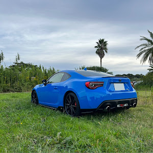 86 ZN6