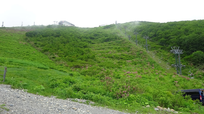 夏の八方尾根・黒菱ゲレンデ【黒菱林道】