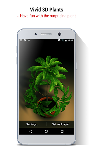 My 3D plant