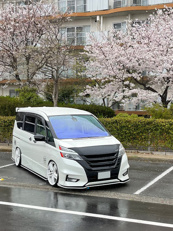 セレナの桜と愛車・桜とコラボ・桜・雨が降ってきたに関するカスタム事例の投稿画像1枚目