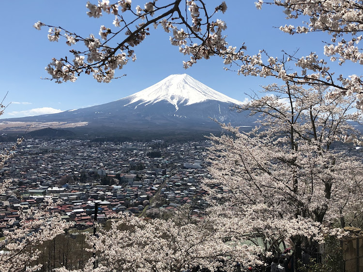 の投稿画像2枚目