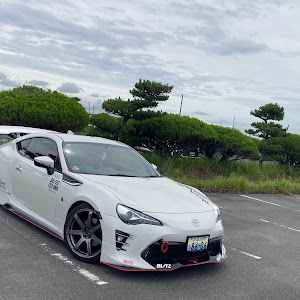 86 ZN6