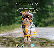 かわいい犬壁紙アイコン 雨の日のお散歩 無料 Androidアプリ Applion